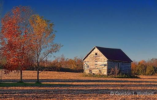 Autumn Barn At Sunrise_23757.jpg - Photographed near Lindsay, Ontario, Canada.